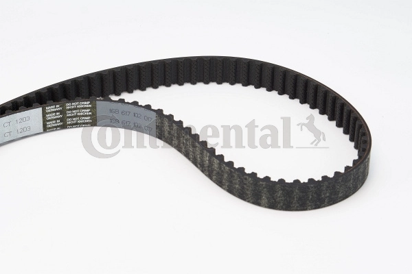 Timing Belt